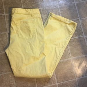 Ann Taylor LOFT Original Boot Jeans